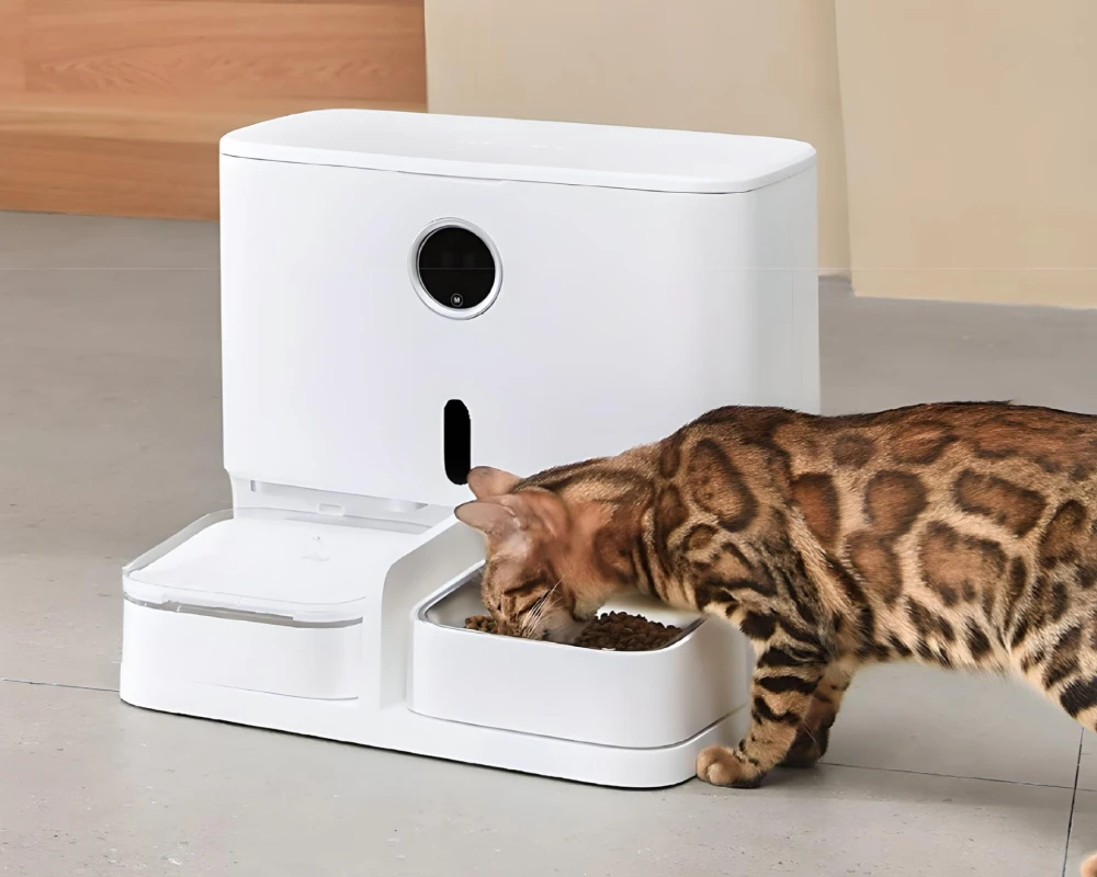 the best automatic pet feeder