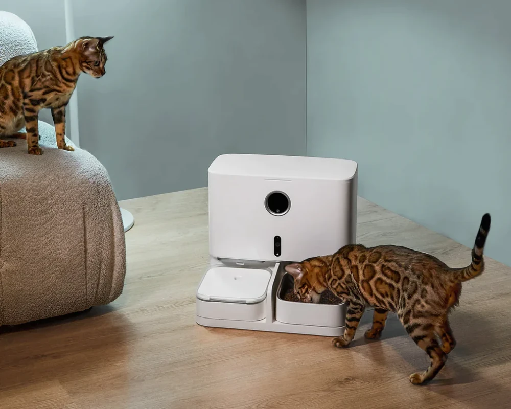 pet safe automatic feeder