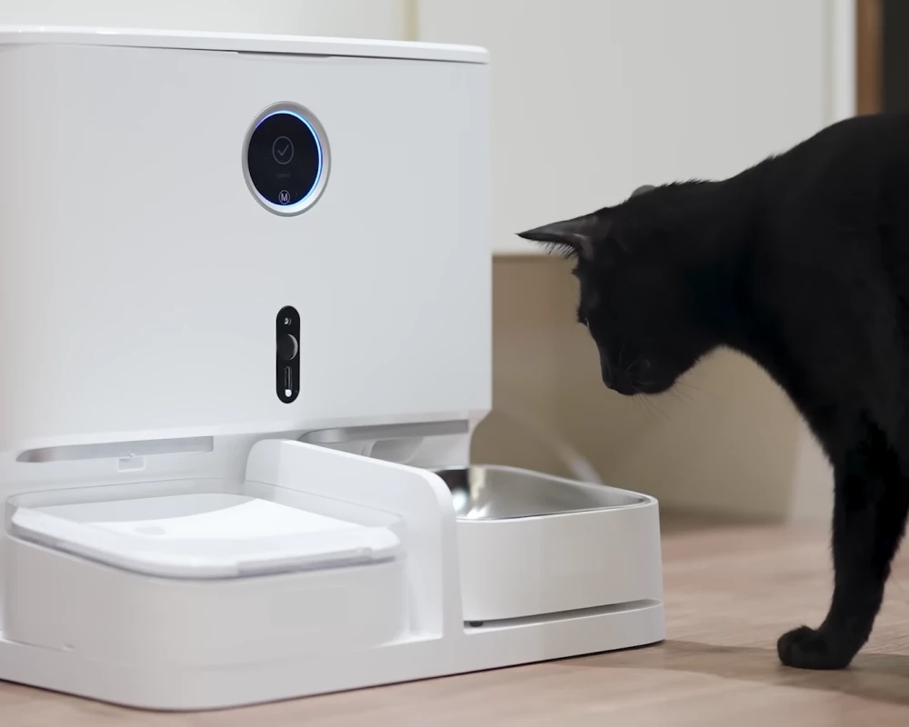 pet safe automatic feeder